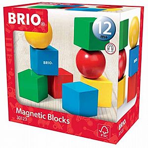 Brio Magnetic Blocks